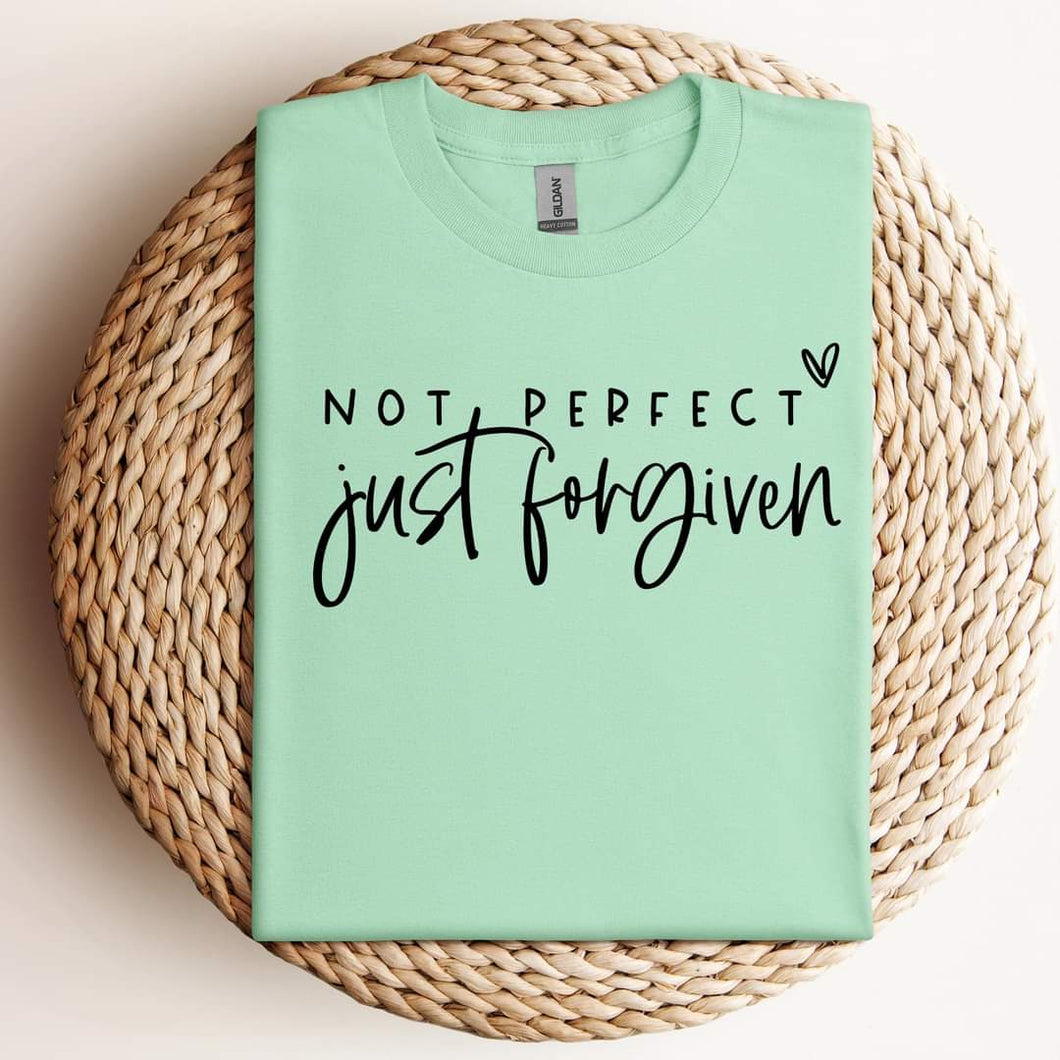 Not perfect, just forgiven plus